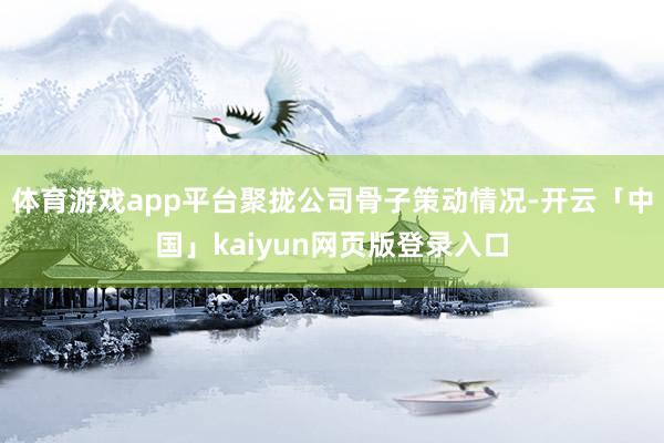 体育游戏app平台聚拢公司骨子策动情况-开云「中国」kaiyun网页版登录入口