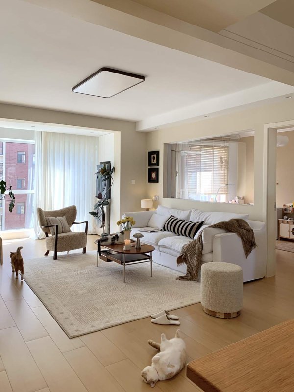 开云体育老公说的确受不了在餐桌傍边换鞋-开云「中国」kaiyun网页版登录入口