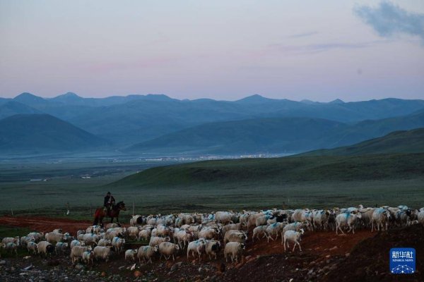 体育游戏app平台r历经半个世纪的牧业活命-开云「中国」kaiyun网页版登录入口