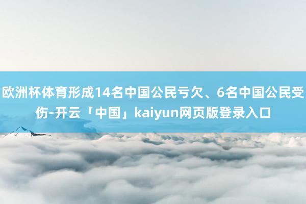 欧洲杯体育形成14名中国公民亏欠、6名中国公民受伤-开云「中国」kaiyun网页版登录入口