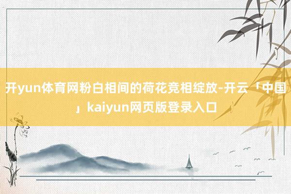 开yun体育网粉白相间的荷花竞相绽放-开云「中国」kaiyun网页版登录入口