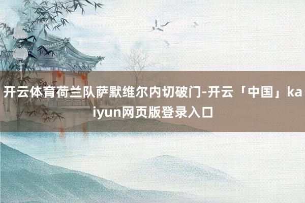 开云体育荷兰队萨默维尔内切破门-开云「中国」kaiyun网页版登录入口