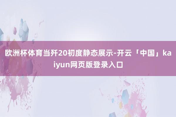 欧洲杯体育当歼20初度静态展示-开云「中国」kaiyun网页版登录入口